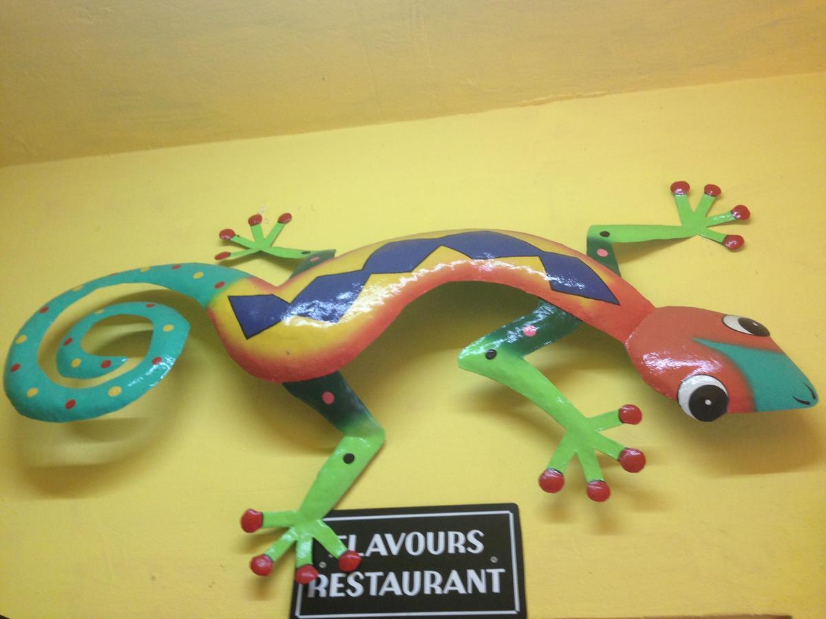 North Bay Inn Sauteurs 外观 照片